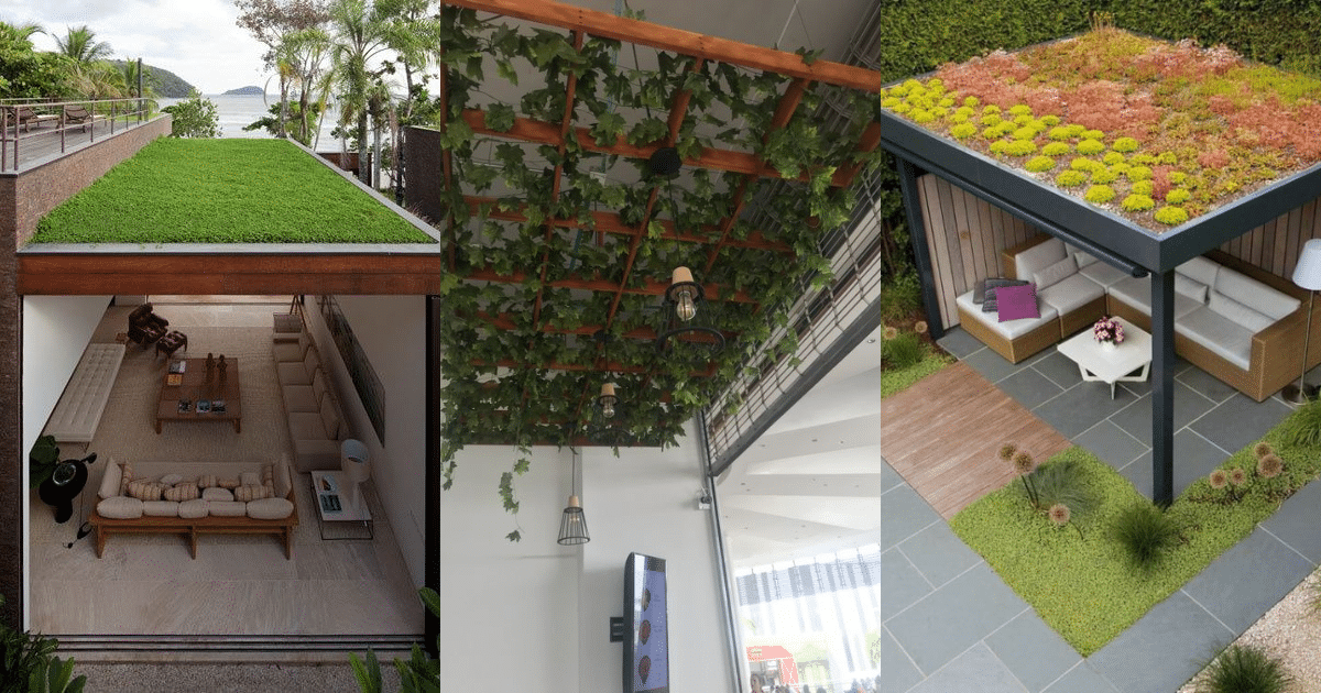 Ideas de techo de plantas