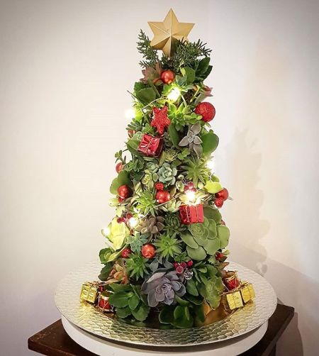 arbol de navidad con suculentas 5