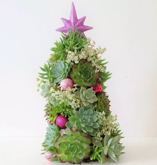 arbol de navidad con suculentas 6