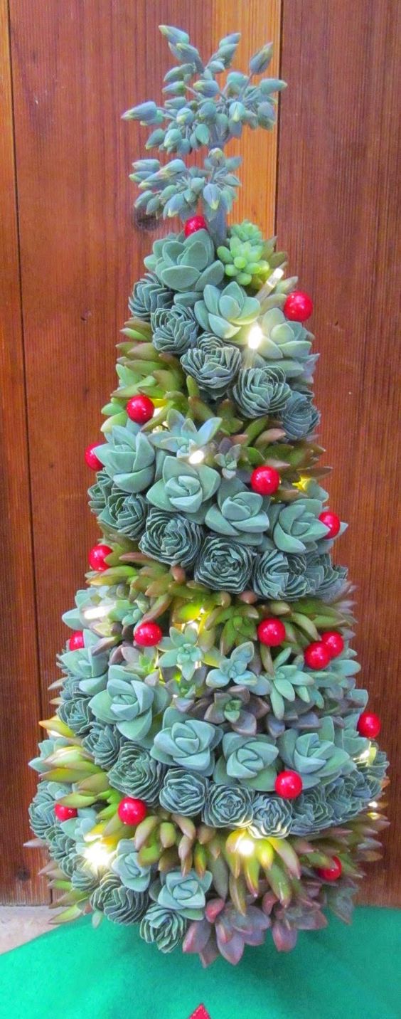 arbol de navidad con suculentas 7