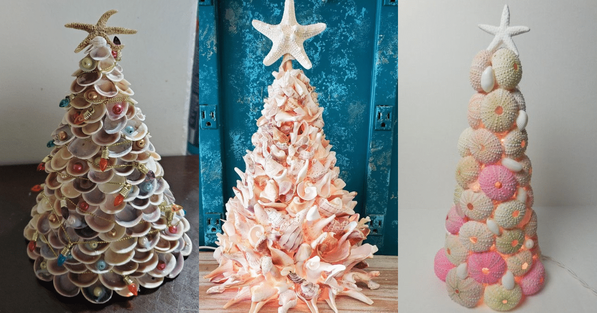 arboles de navidad hechos con conchas marinas