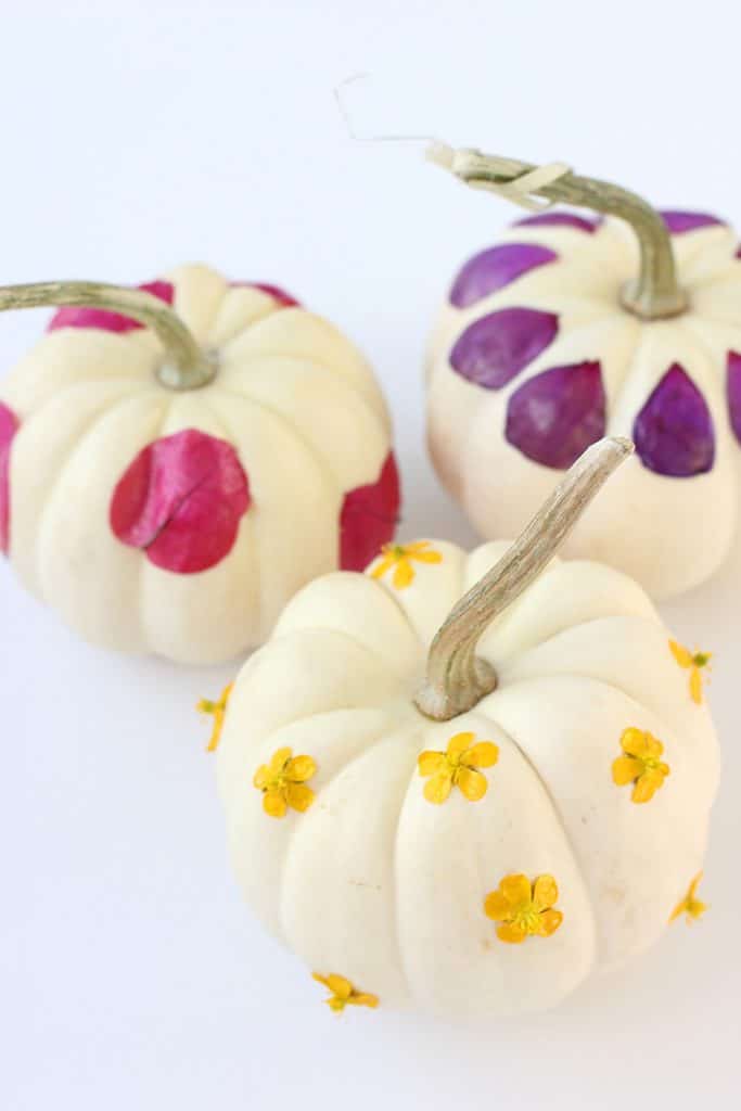 calabazas para decorar el otono 10