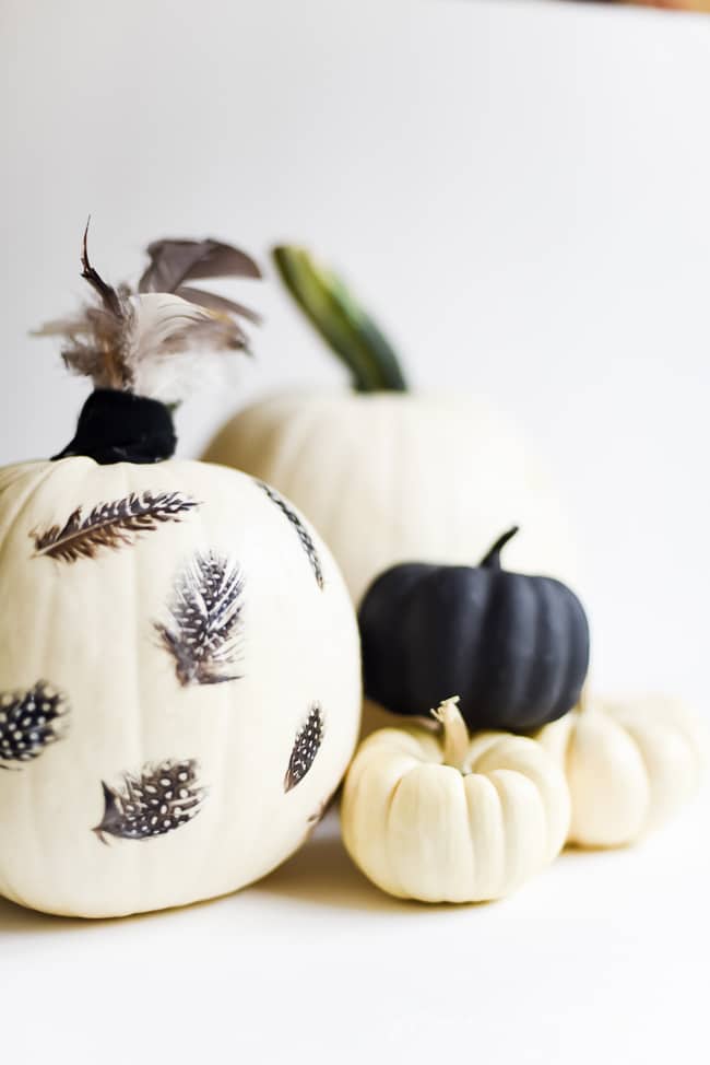 calabazas para decorar el otono 15