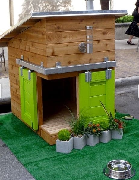 casas perro 2