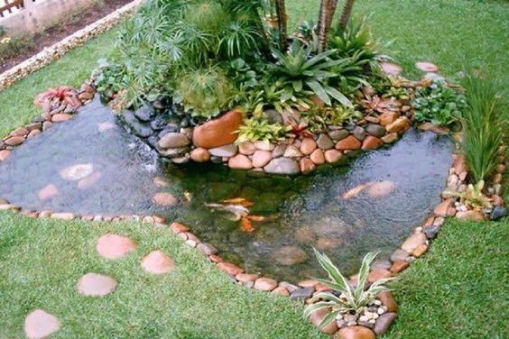 Jornada DIY ¡Construye tu estanque para el jardín!