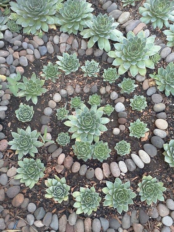 decoracion de jardines con piedras naturales 10