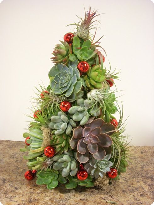 decoracion navidena creativa con cactus 1