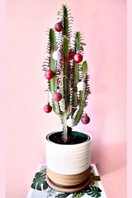 decoracion navidena creativa con cactus 2
