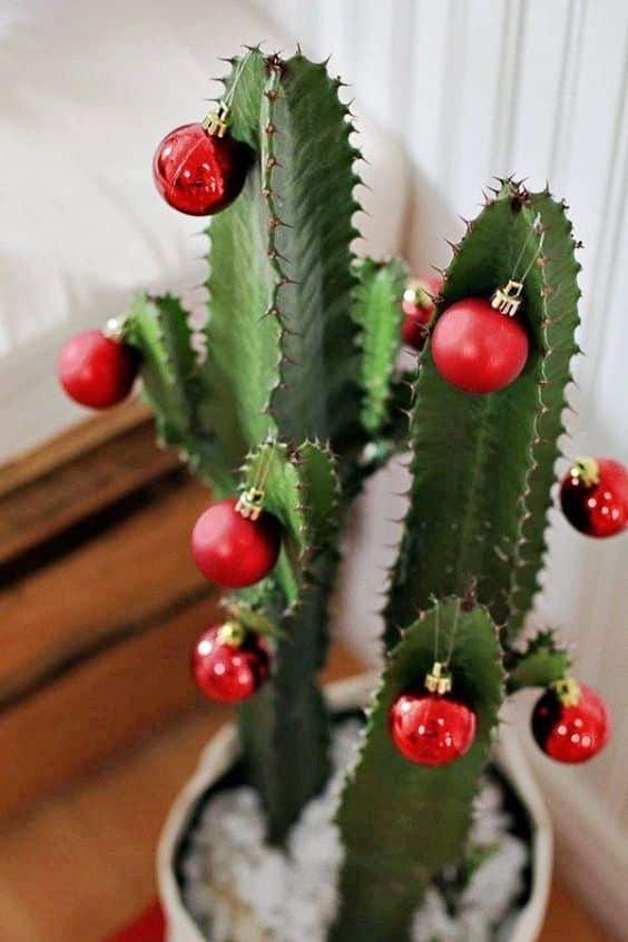 decoracion navidena creativa con cactus 6