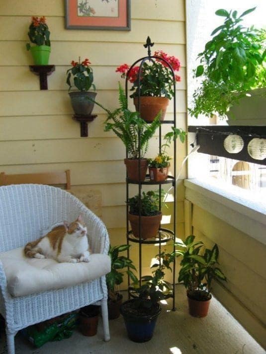 decoraciones florales para tus pequenos balcones 2