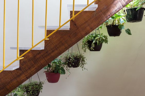 decorar escaleras con plantas 10