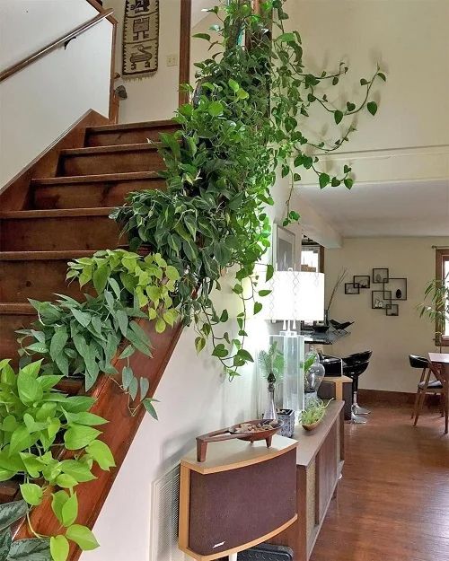 decorar escaleras con plantas 5