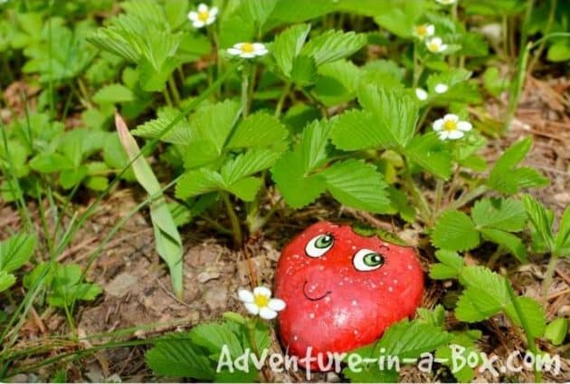 decorar tu jardin con piedras 3