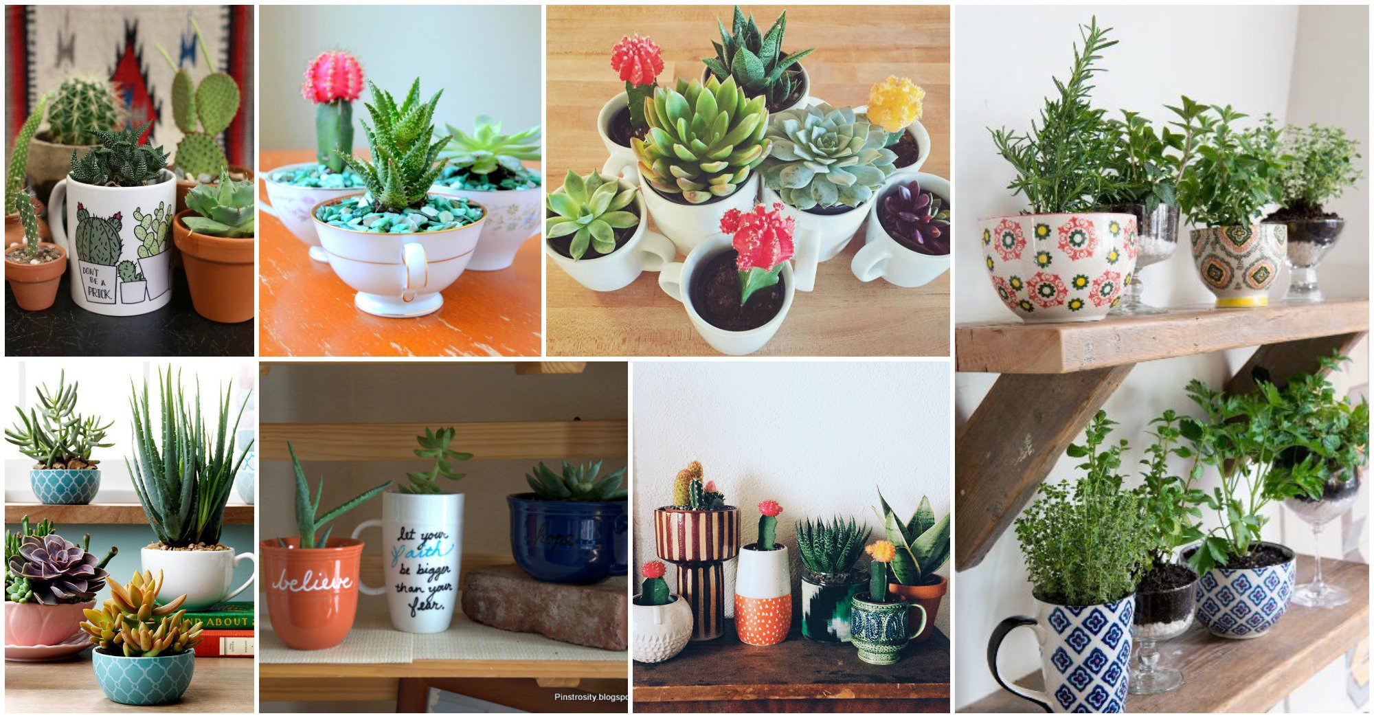 diy jardines taza te cafe