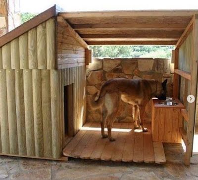 espacios para perros en el patio trasero 6