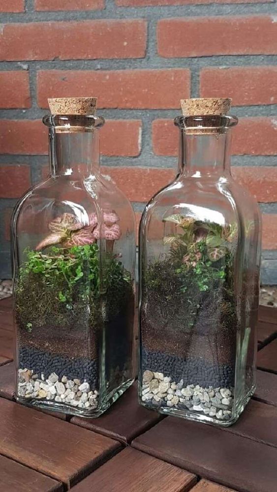 hacer un lindo terrario con botellas de vidrio 3