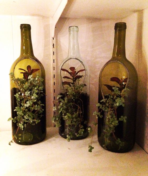 hacer un lindo terrario con botellas de vidrio 7