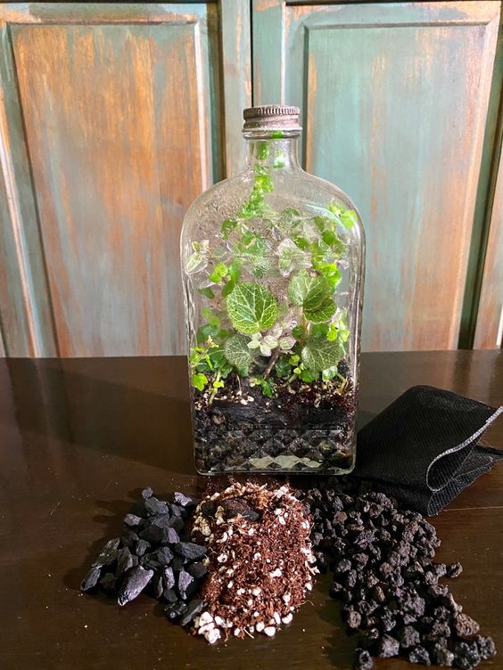 hacer un lindo terrario con botellas de vidrio 9