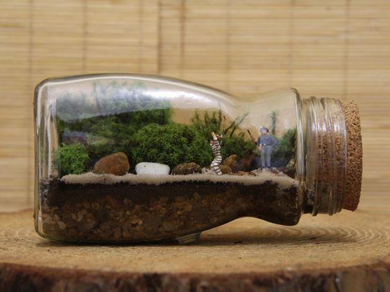 hacer un lindo terrario con botellas de vidrio