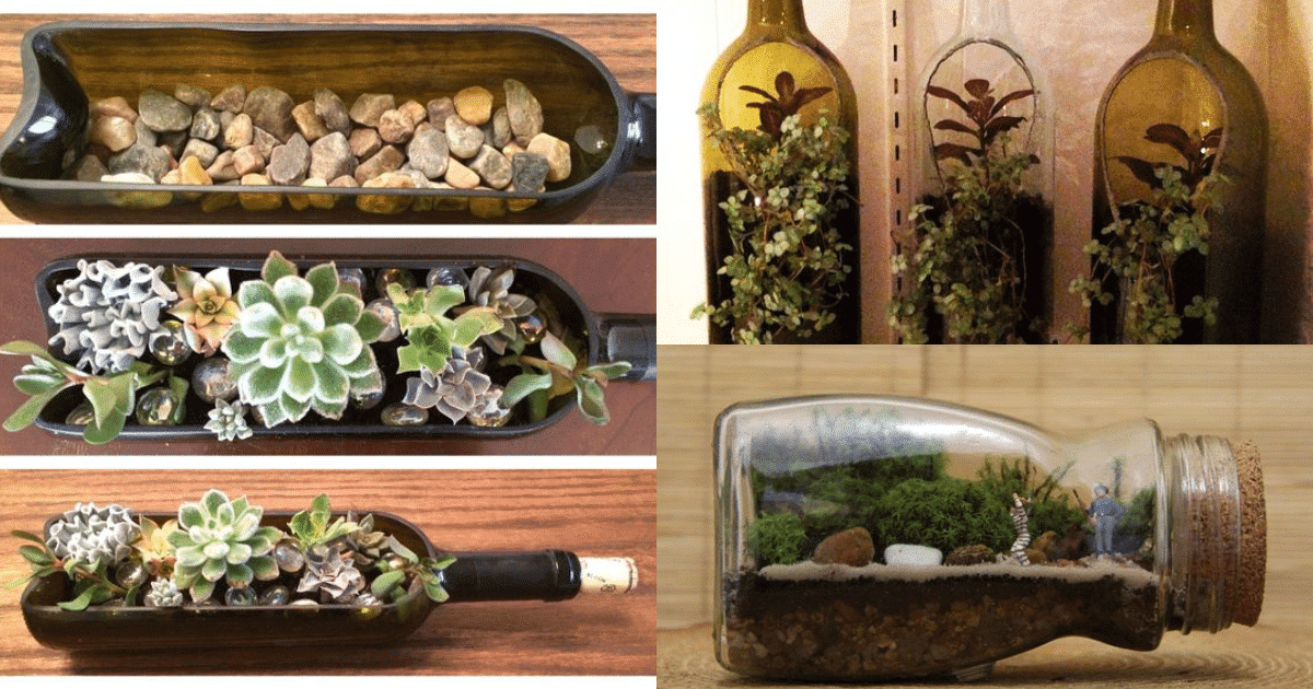 hacer un lindo terrario con botellas de vidrio