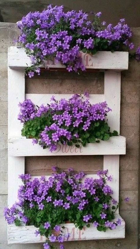 ideas adornos con plantas para la pared 4