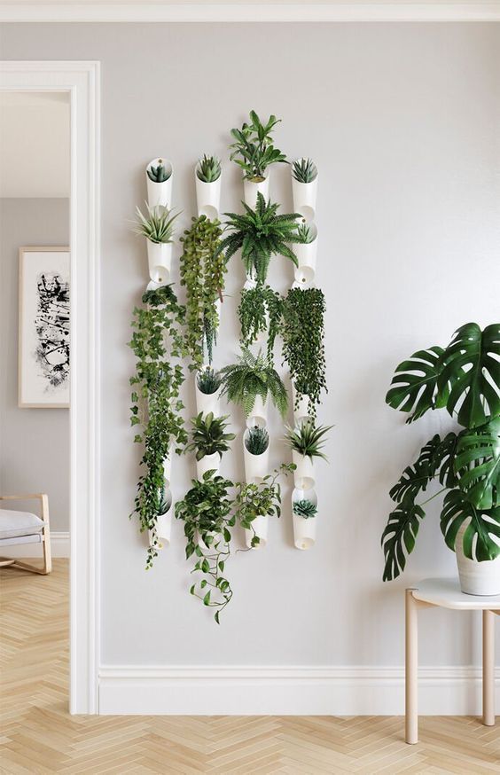 ideas adornos con plantas para la pared 8