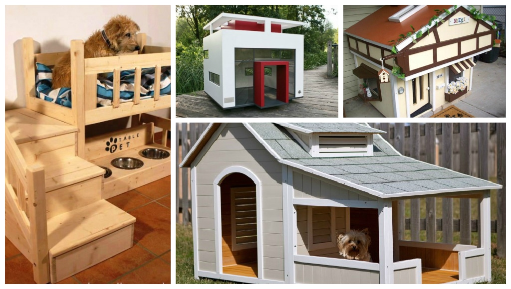 15+ Casas de Perro Totalmente Dulces y Elegantes ideas casas perro