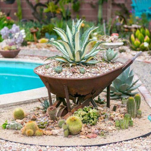 ideas de proyectos de jardin con carretilla 8