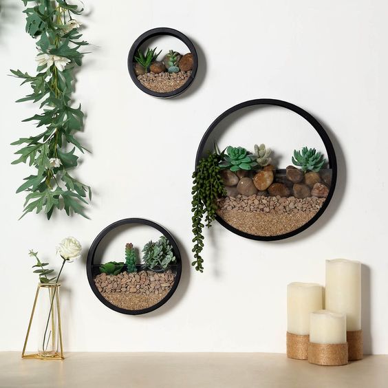 ideas de terrario de pared con suculentas 1