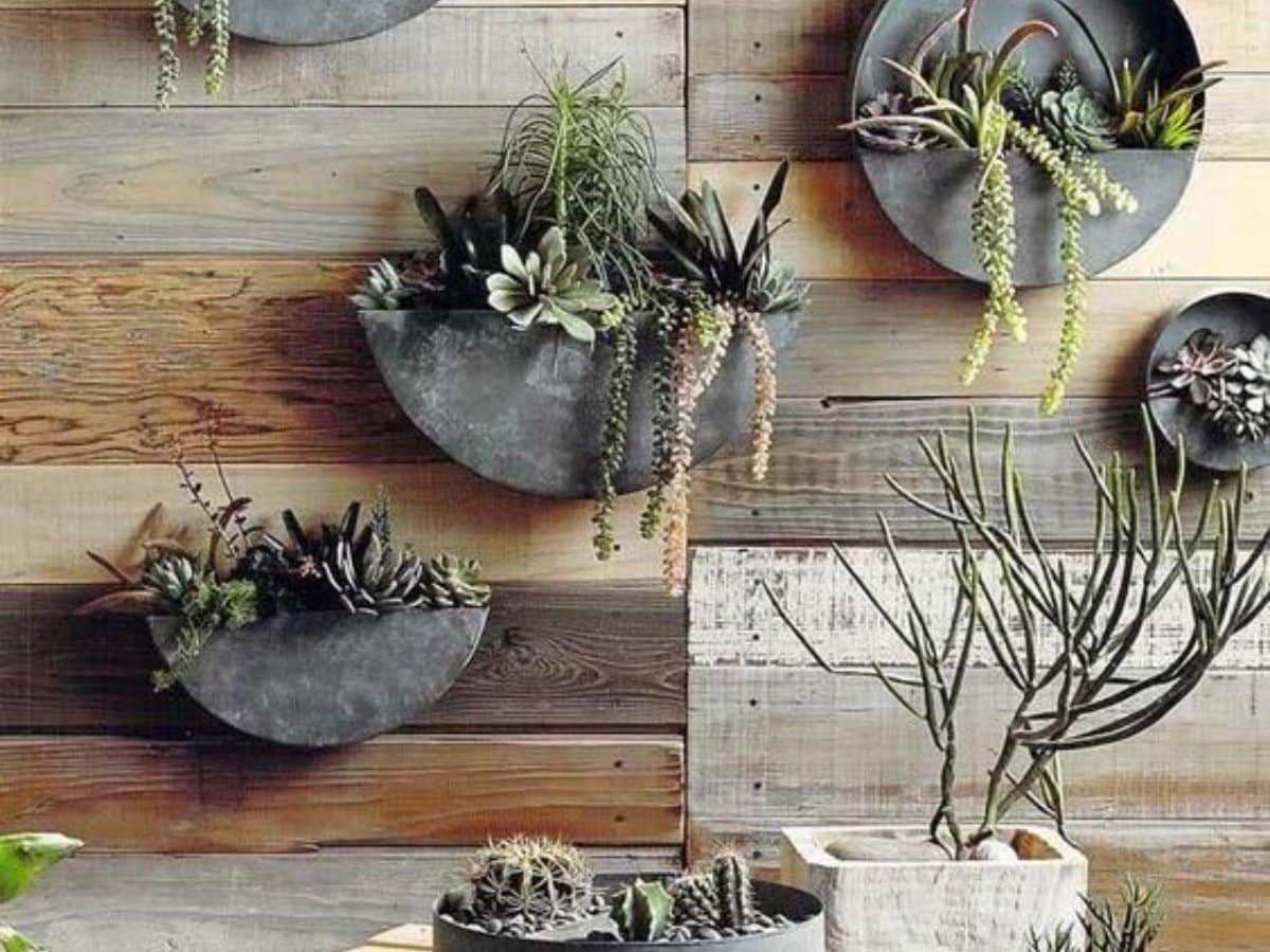 ideas de terrario de pared con suculentas 11