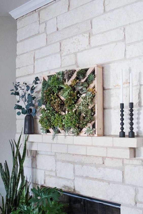 ideas de terrario de pared con suculentas 3