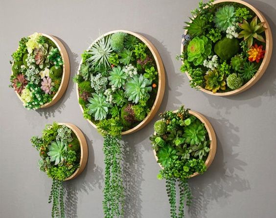 ideas de terrario de pared con suculentas 4