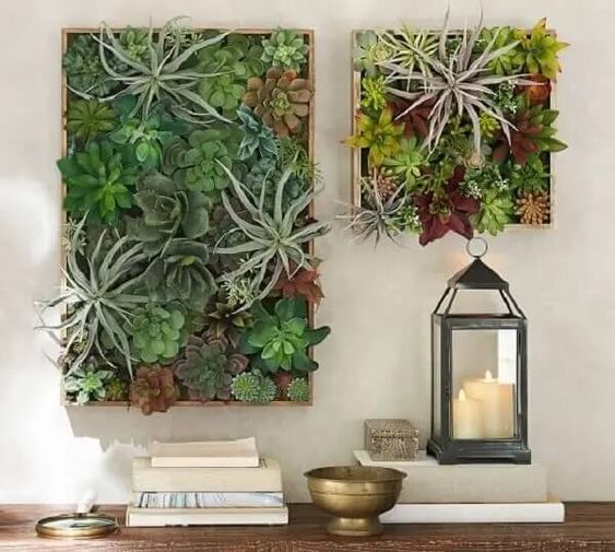 ideas de terrario de pared con suculentas 5