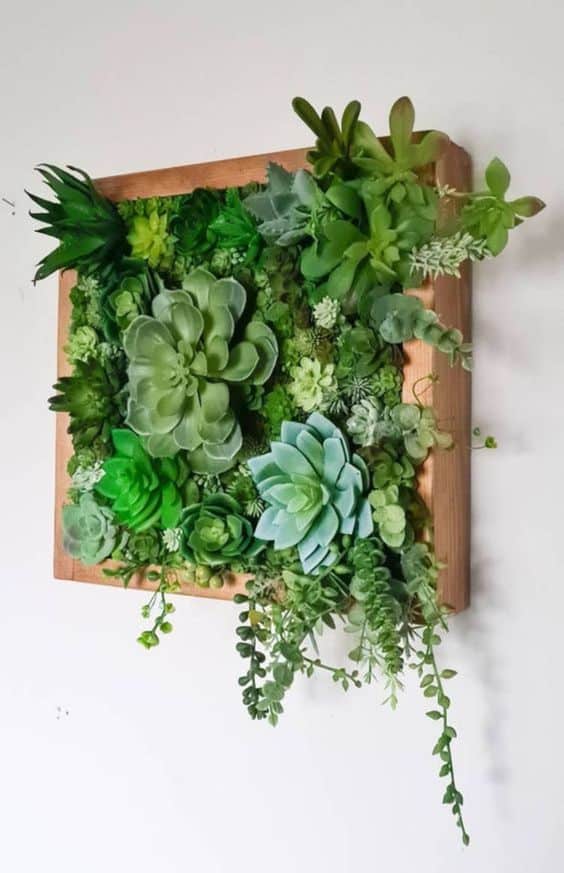 ideas de terrario de pared con suculentas 6