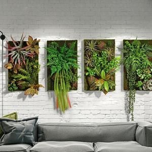 ideas de terrario de pared con suculentas 8