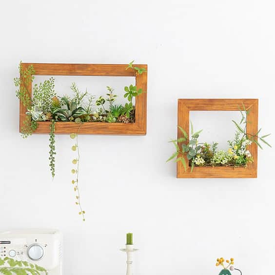 ideas de terrario de pared con suculentas