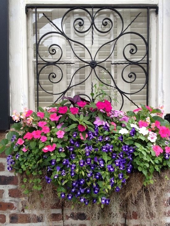 ideas decorar tus ventanas con flores 1