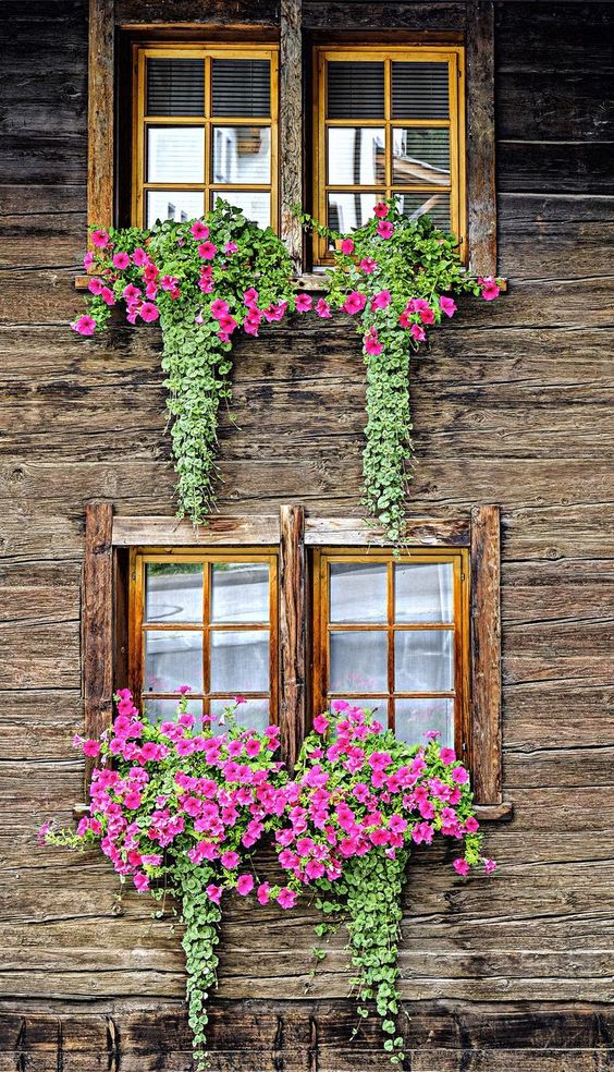 ideas decorar tus ventanas con flores 2