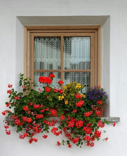 ideas decorar tus ventanas con flores 3