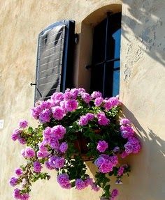 ideas decorar tus ventanas con flores 5