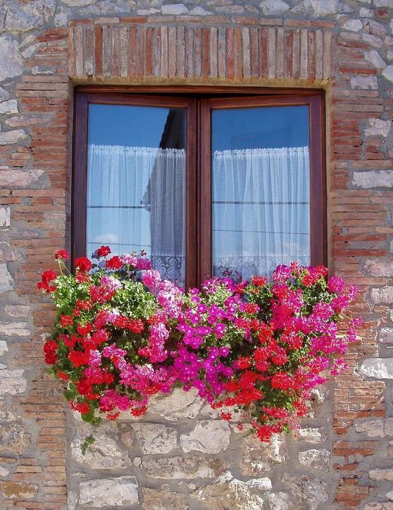 ideas decorar tus ventanas con flores 6