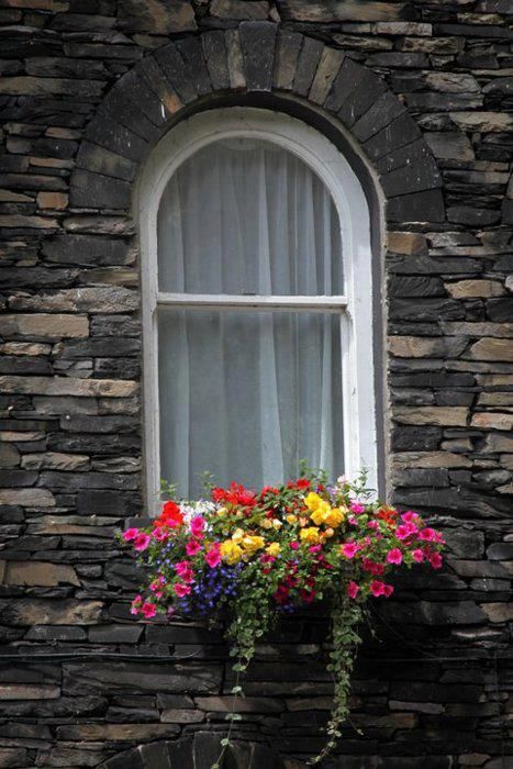 ideas decorar tus ventanas con flores 8