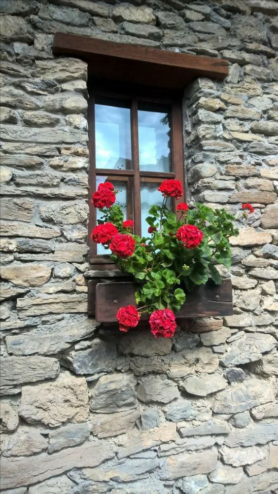 ideas decorar tus ventanas con flores 9