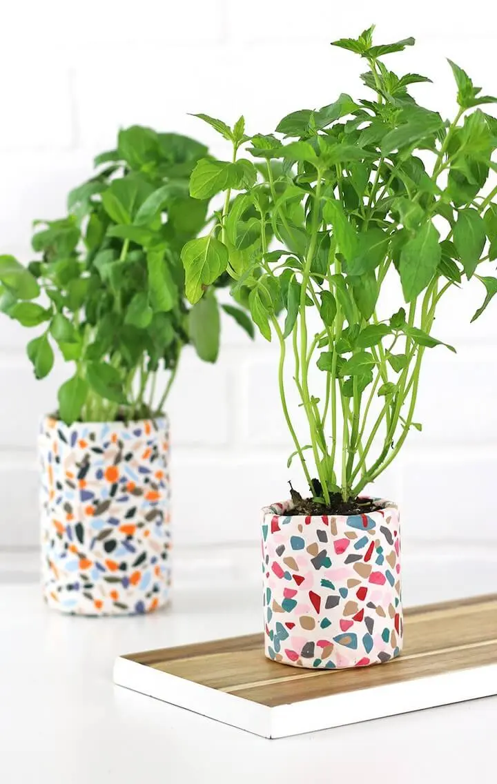 ideas faciles de macetas para el verano 1