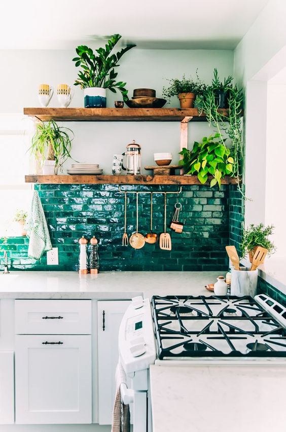 ideas para cocinas decoradas con plantas 1