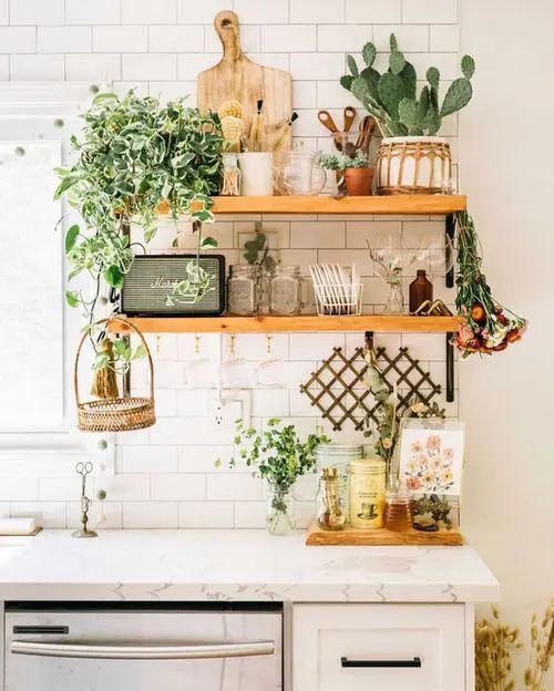 ideas para cocinas decoradas con plantas 10