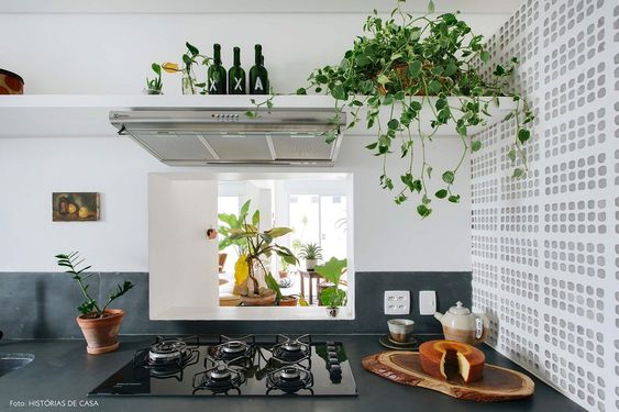 ideas para cocinas decoradas con plantas 14