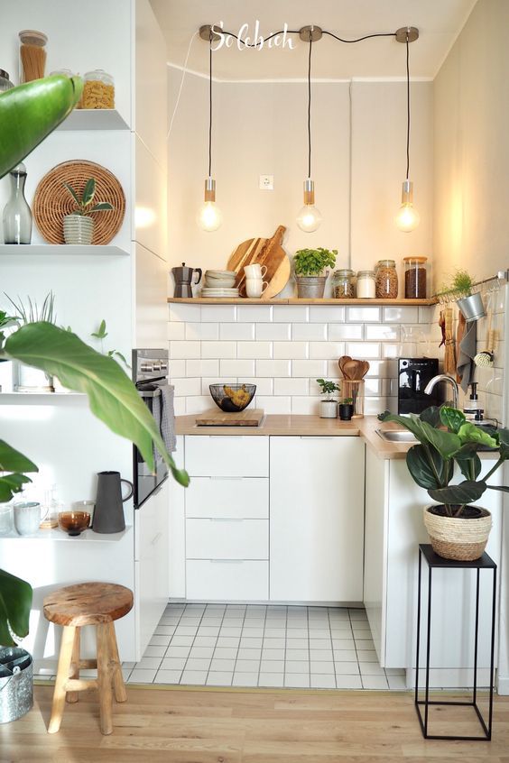 ideas para cocinas decoradas con plantas 7