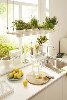 ideas para cocinas decoradas con plantas
