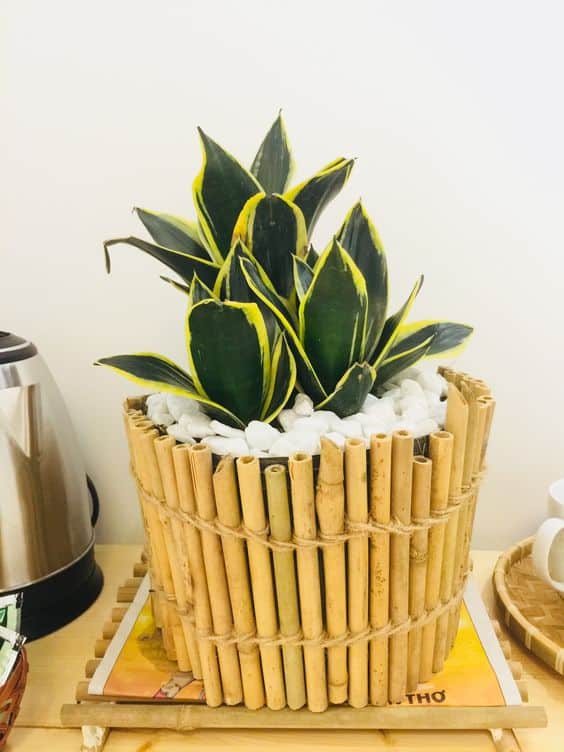 ideas para decorar con canas de bambu